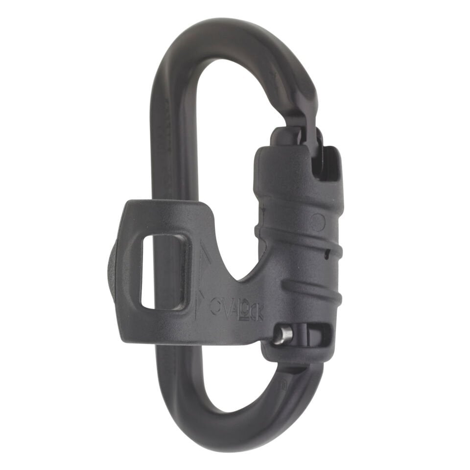 AustriAlpin OVALCOK Alloy Flapgate Karabina