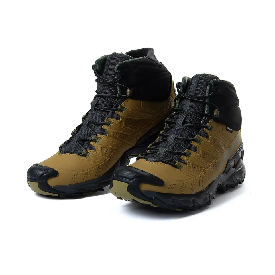 Ultra Raptor II Mid Leather GTX