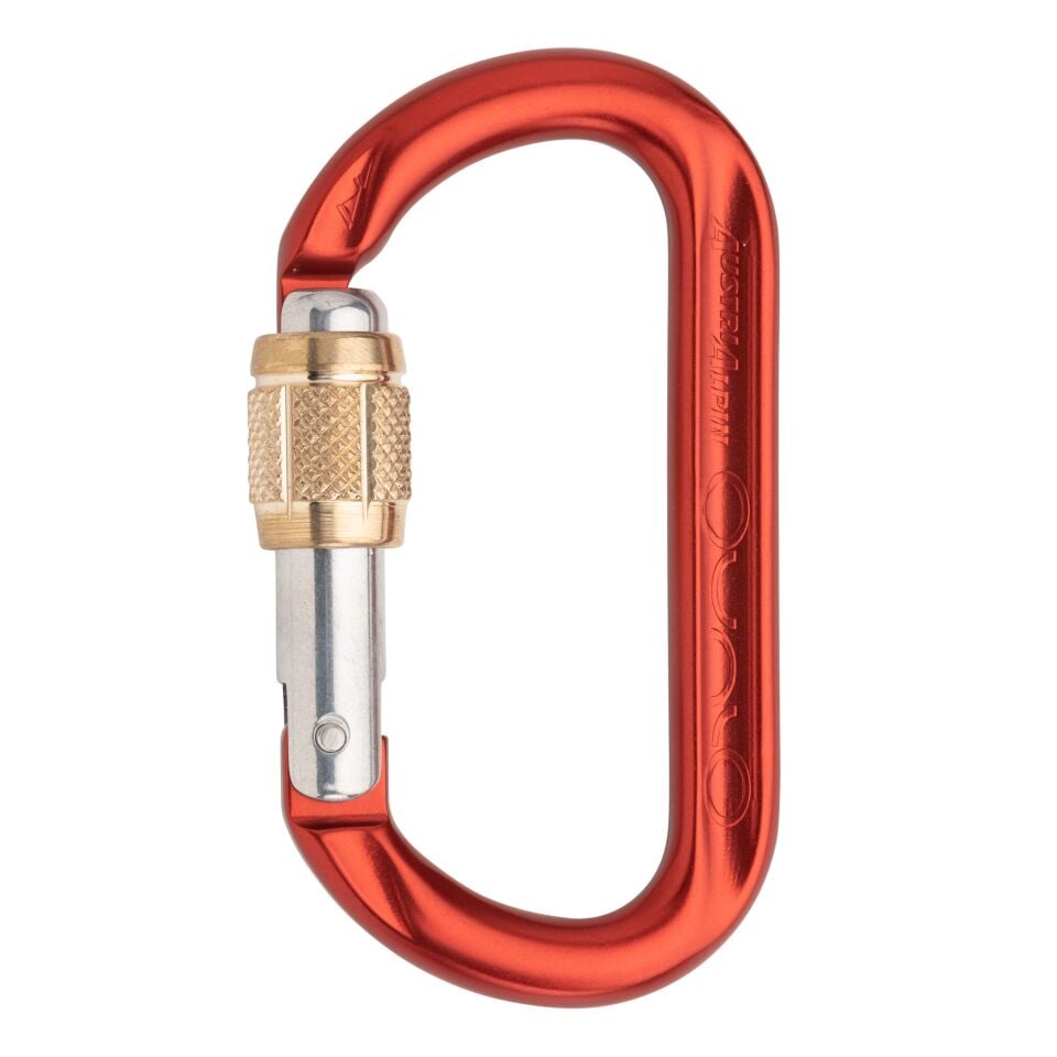 AustriAlpin OVALO GI Alloy Screwlock Karabina