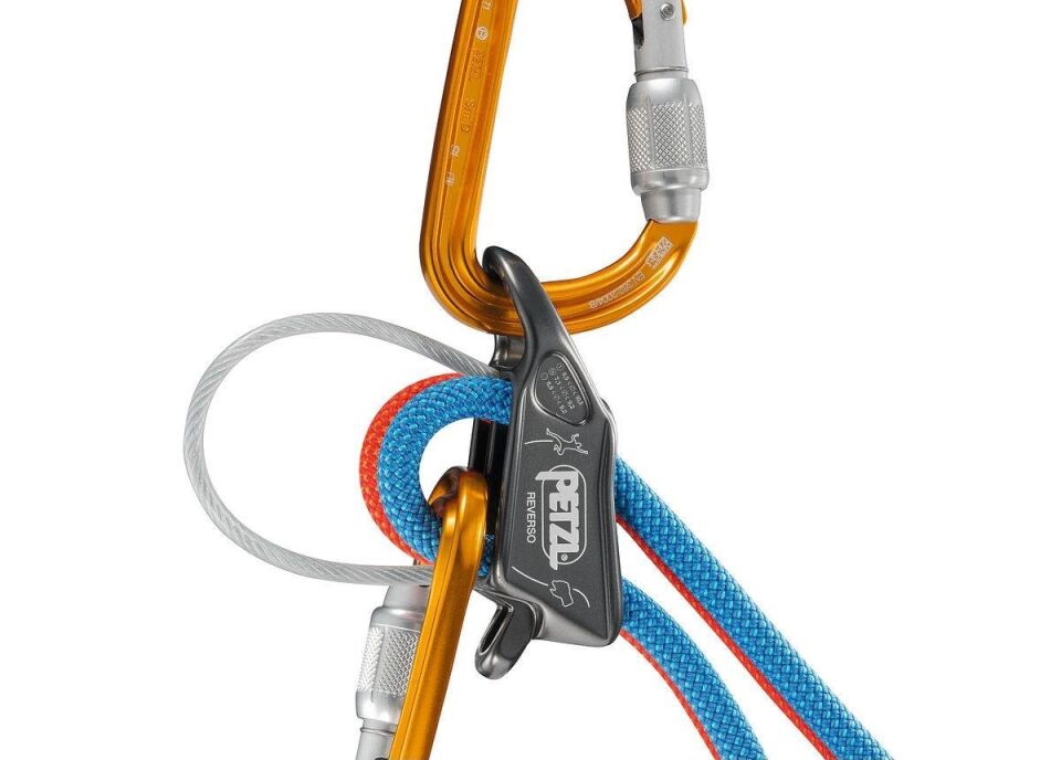 PETZL Reverso Emniyet Aleti