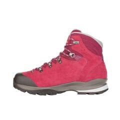 Lowa Tucana GTX Ws Dağcılık Botu