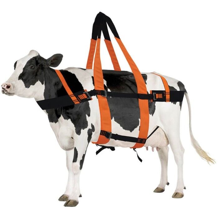 Kaya Safety BOVINE RESCUE Büyükbaş Hayvan Kurtarma Kemeri