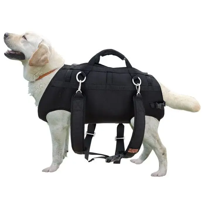 Kaya Safety Köpek Kurtarma Kemeri